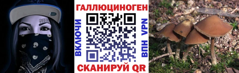 Псилоцибиновые грибы мухоморы  хочу наркоту  Соликамск 